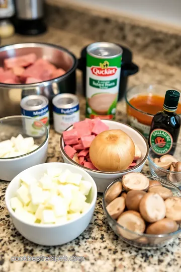 Cube Steak with Cream of Mushroom Soup ingredients